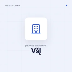 Įmonės steigimas – VšĮ